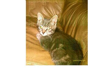 charly